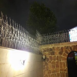 حفاظ شاخ گوزنی تراکم 40