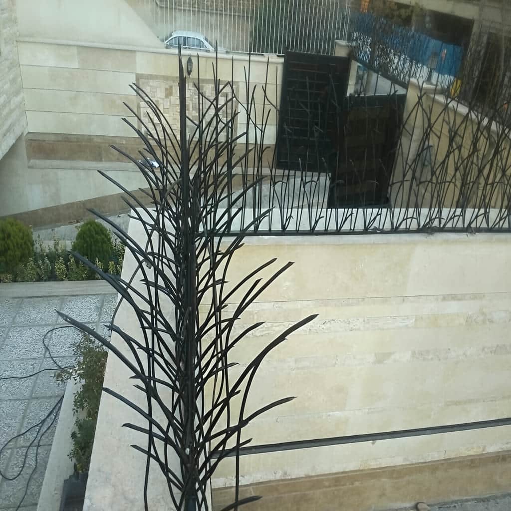 حفاظ نیزار