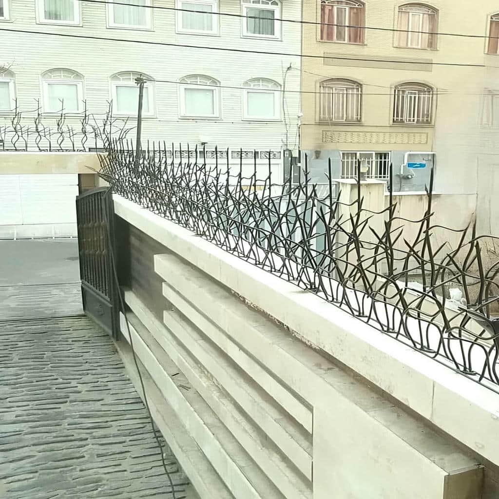 fence-wall-protection-deer-antler-spear-yk نصاب حفاظ بوته ای تراکم 67