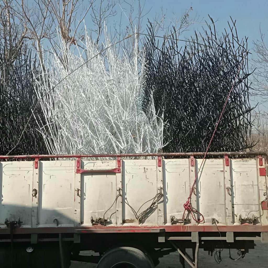 fence-wall-protection-deer-antler-spear-ym قیمت حفاظ بوته ای تراکم 88