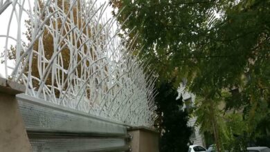 fence-wall-protection-deer-antler-spear-abv