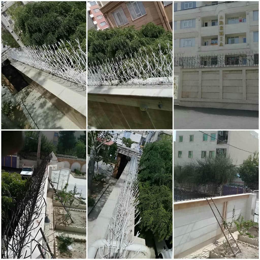 نصب حفاظ شاخ گوزنی دیوار ساختمان اجرای تراز در شهریار