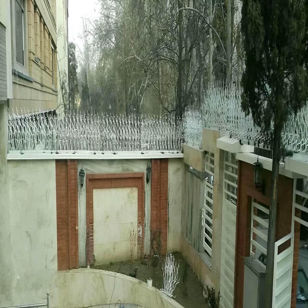 حفاظ شاخ گوزنی دیوار ساختمان در نیشابور