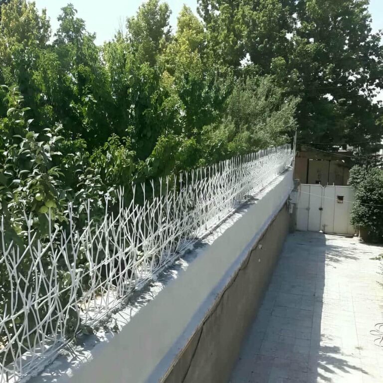 fence-wall-protection-deer-antler-spear-agg حفاظ شاخ گوزنی دیوار ساختمان در گرگان