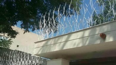 fence-wall-protection-deer-antler-spear-ahr