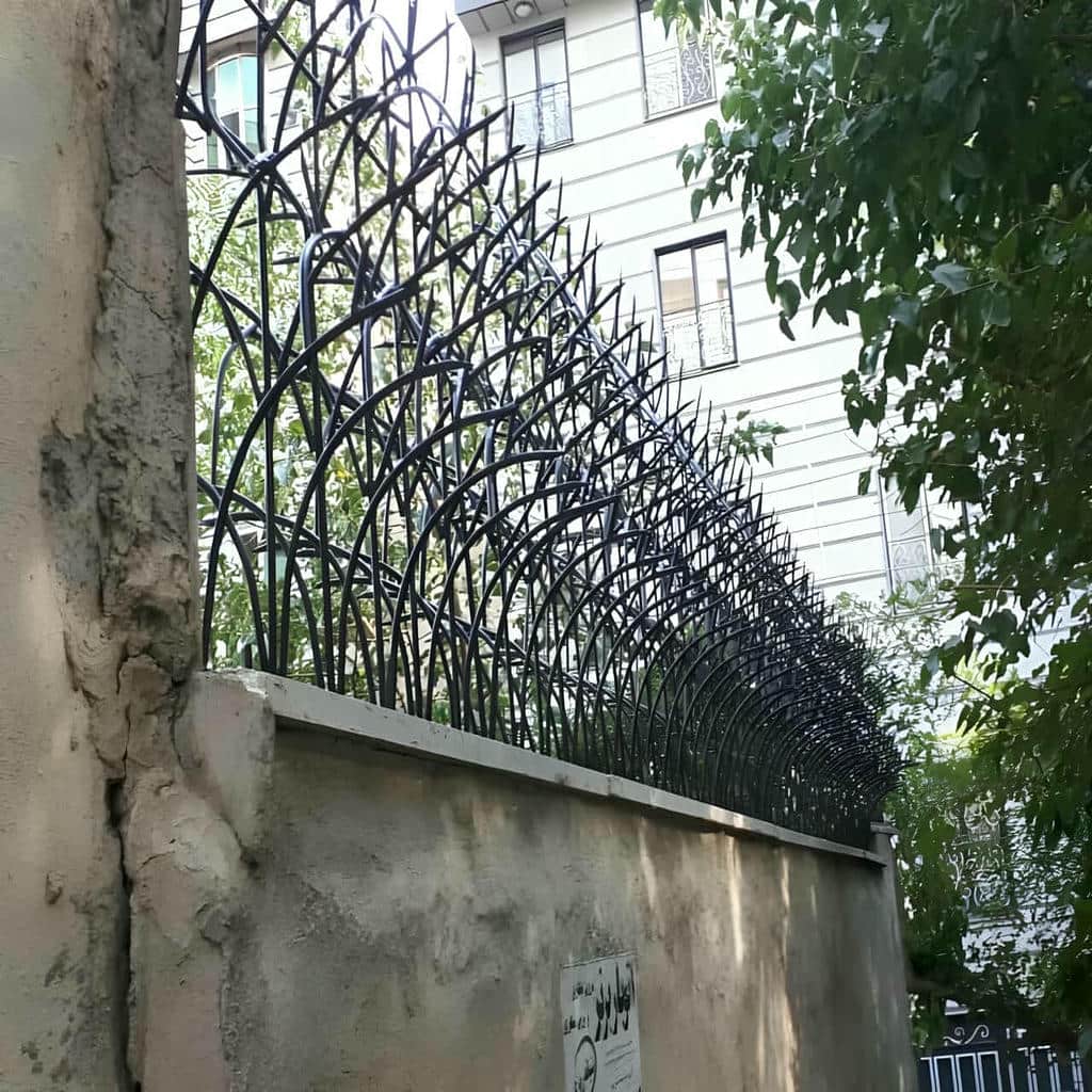 حفاظ شاخ گوزنی دیوار ساختمان در چالوس