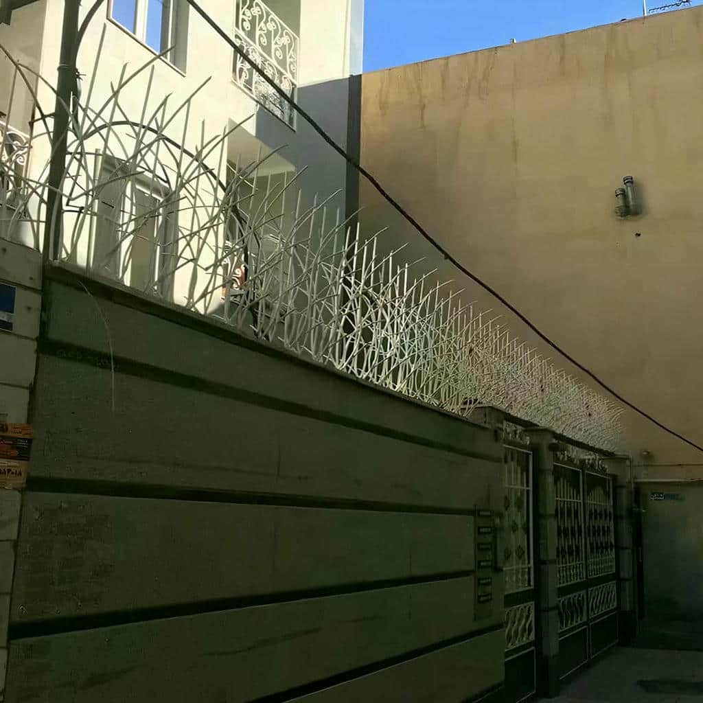 حفاظ شاخ گوزنی دیوار ساختمان در قم