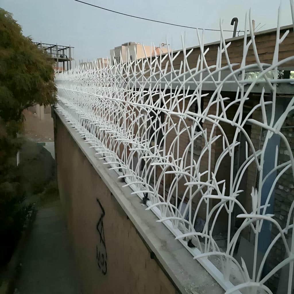 قیمت حفاظ شاخ گوزنی دیوار ساختمان شاخه متراکم در چابهار