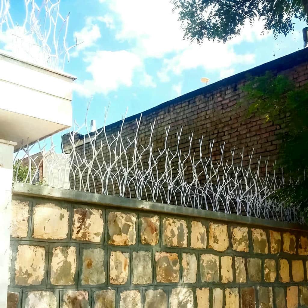 حفاظ شاخ گوزنی دیوار ساختمان در ایرانشهر