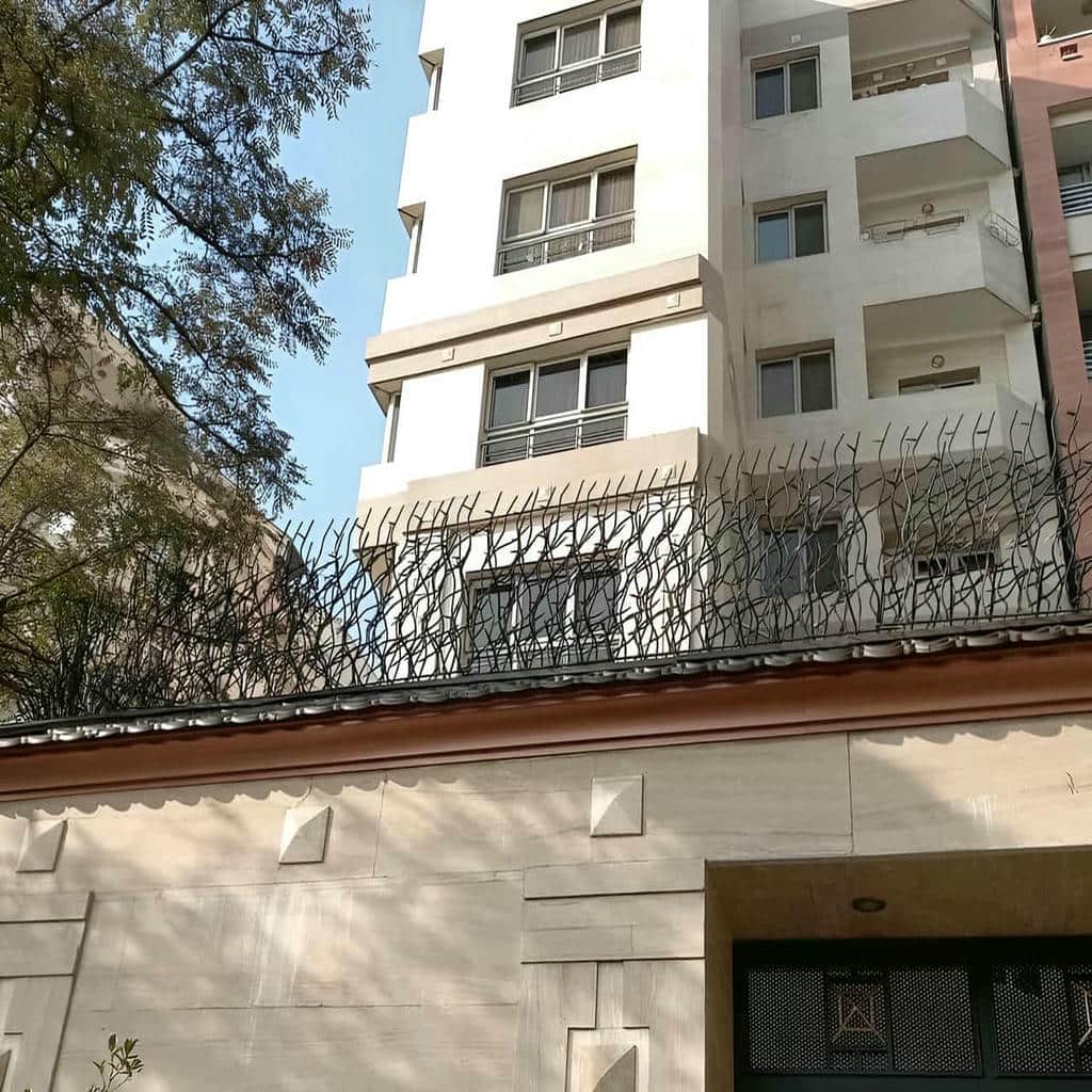 حفاظ شاخ گوزنی دیوار ساختمان در ساری