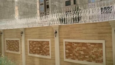 حفاظ شاخ گوزنی دیوار ساختمان در پرند
