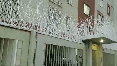 fence-wall-protection-deer-antler-spear-anl