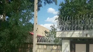 حفاظ شاخ گوزنی دیوار ساختمان در چابهار