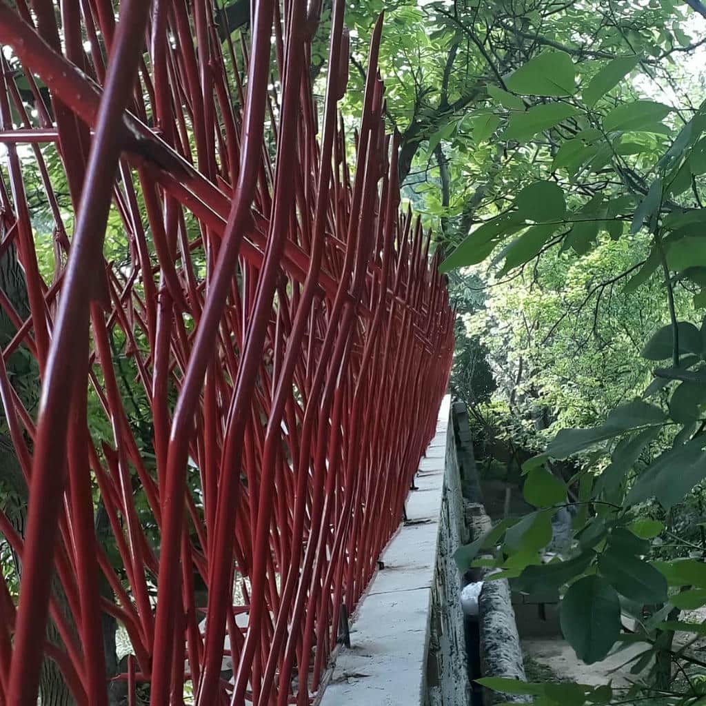 کارخانه حفاظ شاخ گوزنی دیوار ساختمان شاخه نوک‌تیز در فردیس کرج