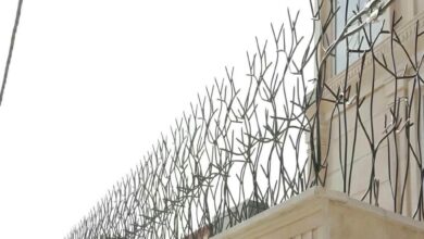 fence-wall-protection-deer-antler-spear-ay
