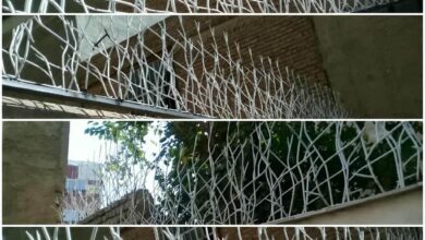 fence-wall-protection-deer-antler-spear-ayc