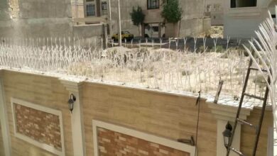 fence-wall-protection-deer-antler-spear-ayt