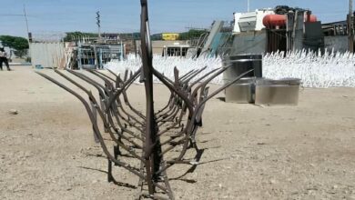 fence-wall-protection-deer-antler-spear-ayx
