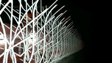 fence-wall-protection-deer-antler-spear-bd