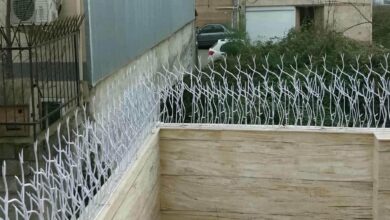 fence-wall-protection-deer-antler-spear-ch