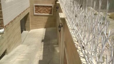 fence-wall-protection-deer-antler-spear-cs