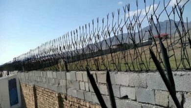 حفاظ شاخ گوزنی دیوار ساختمان در خرم آباد