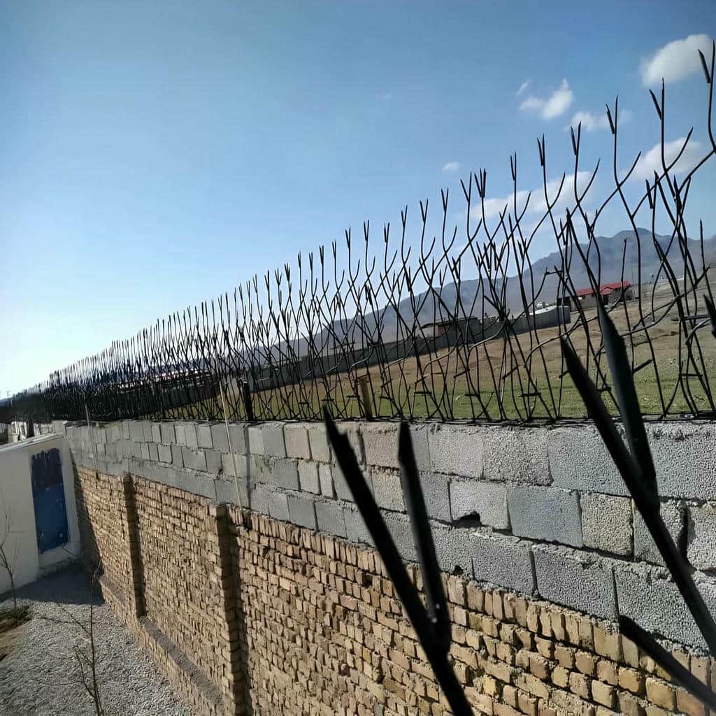 حفاظ شاخ گوزنی دیوار ساختمان در خرم آباد