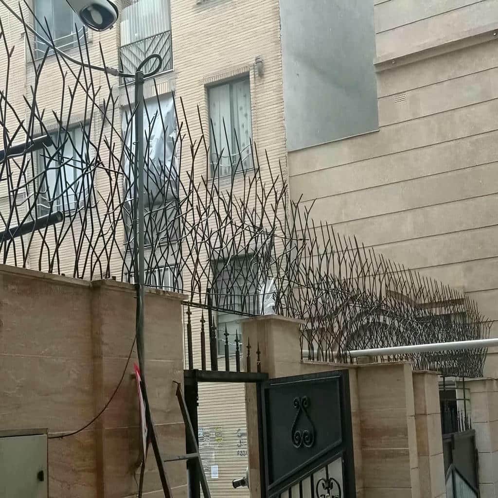 حفاظ شاخ گوزنی دیوار ساختمان در محمودآباد