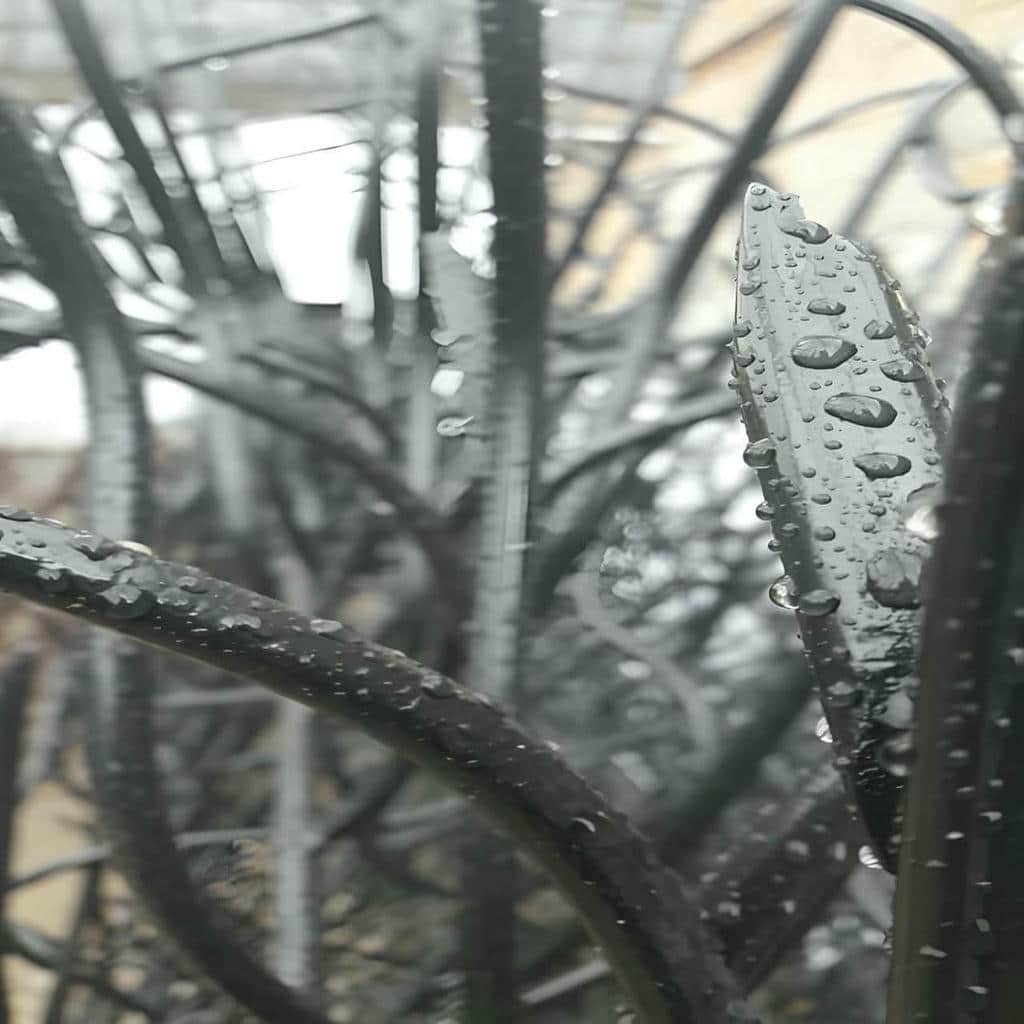 کارخانه حفاظ شاخ گوزنی دیوار ساختمان متریال فولادی در فیروزکوه