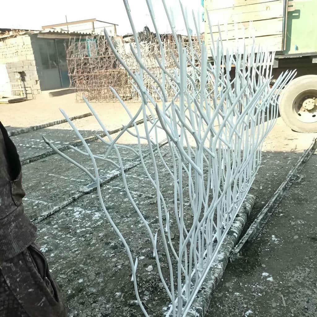 حفاظ شاخ گوزنی دیوار ساختمان در کرمان