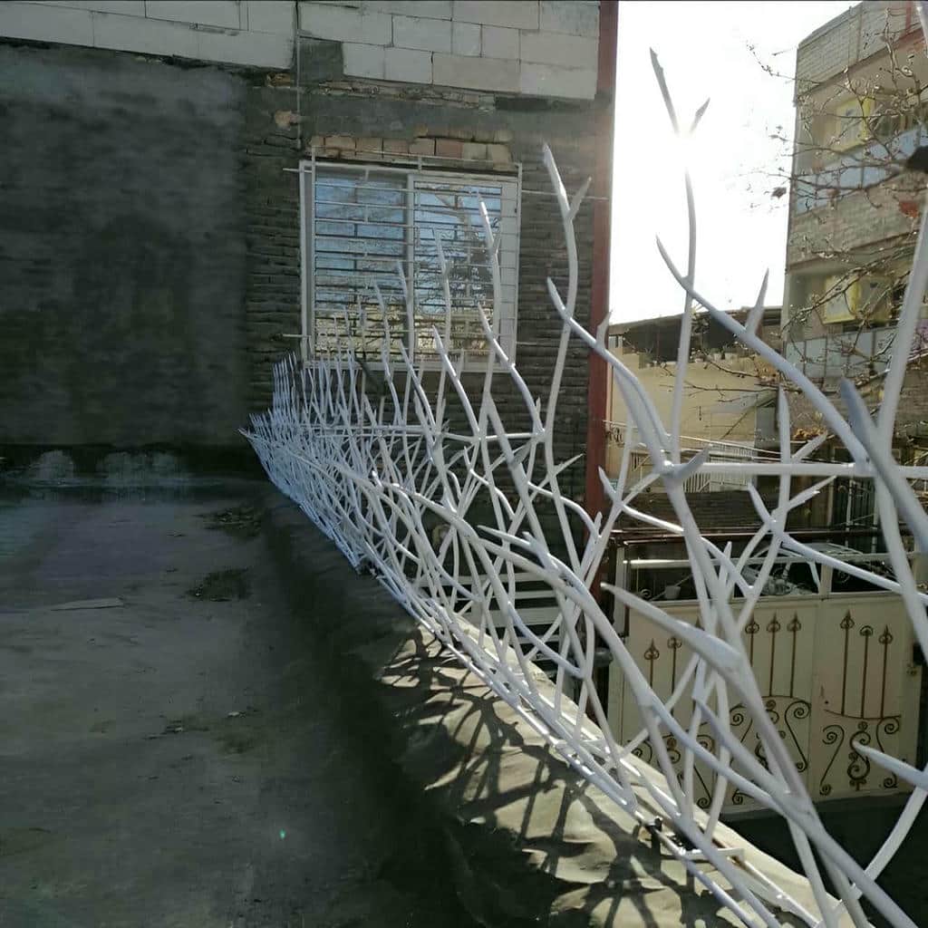 حفاظ شاخ گوزنی دیوار ساختمان در رشت