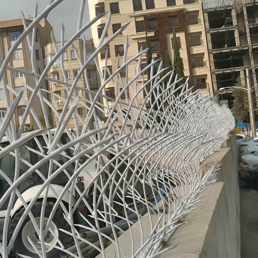 خرید حفاظ شاخ گوزنی دیوار
