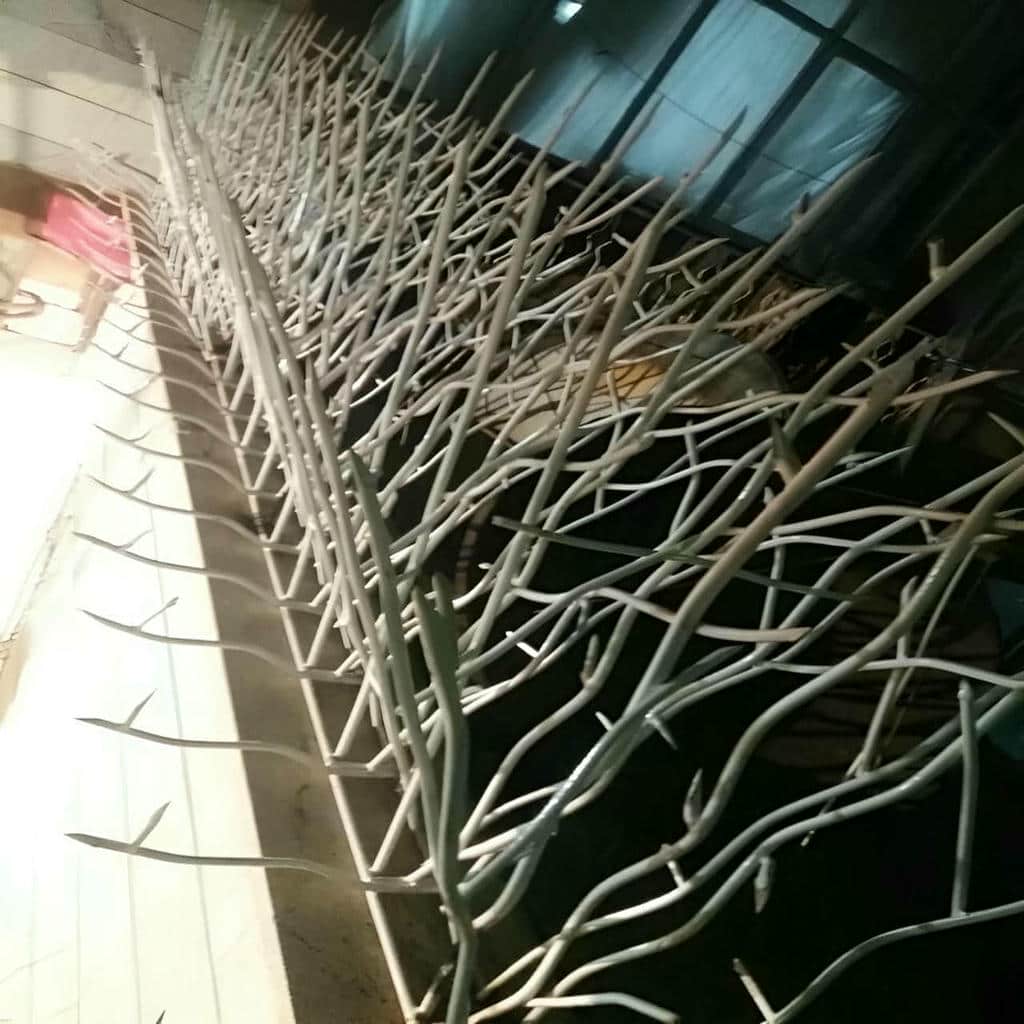 نصب حفاظ شاخ گوزنی دیوار ساختمان رنگ کوره ای در خرم آباد