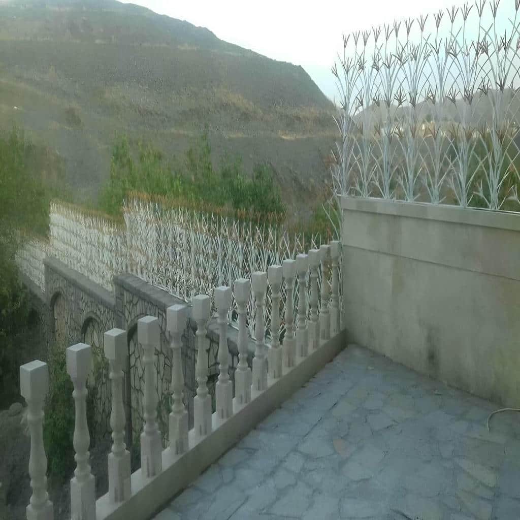 قیمت حفاظ شاخ گوزنی دیوار ساختمان تحویل نهایی در کرمان