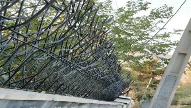 fence-wall-protection-deer-antler-spear-ny