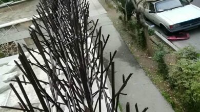 حفاظ شاخ گوزنی دیوار ساختمان در سنندج