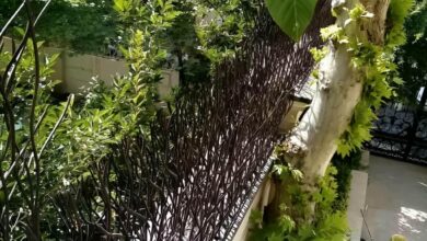 حفاظ شاخ گوزنی دیوار ساختمان در فردیس کرج
