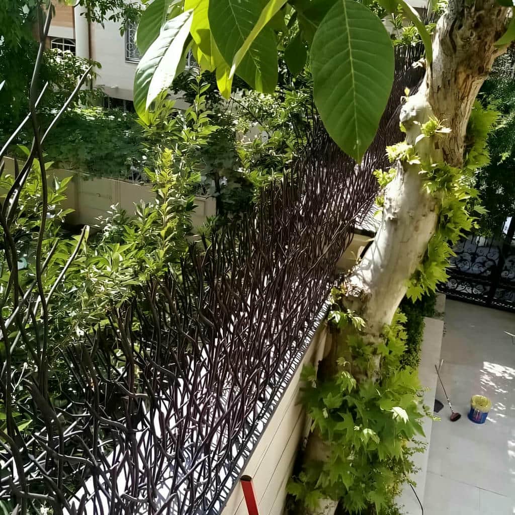 حفاظ شاخ گوزنی دیوار ساختمان در فردیس کرج