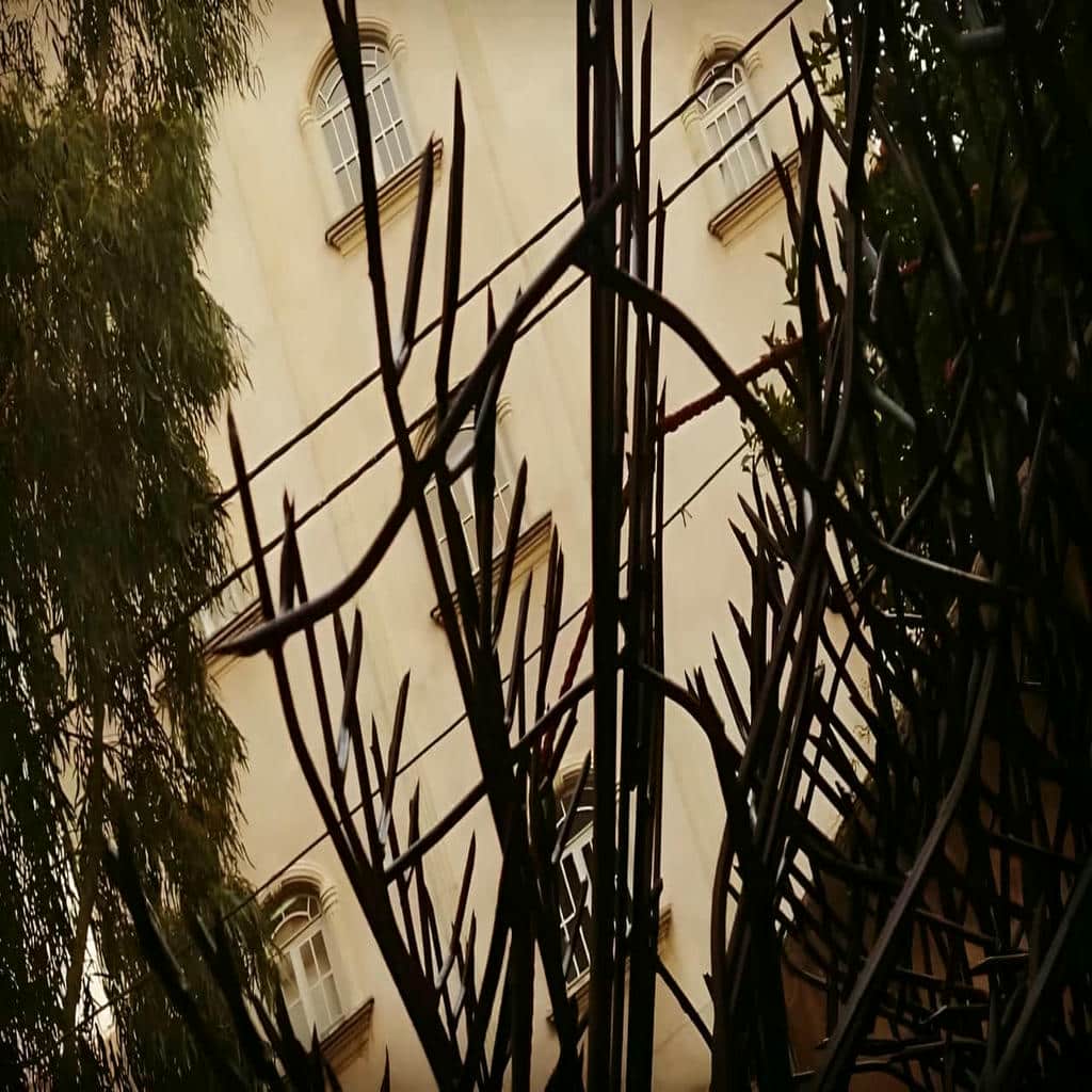 خرید حفاظ شاخ گوزنی دیوار ساختمان ارتفاع مهندسی در محمودآباد