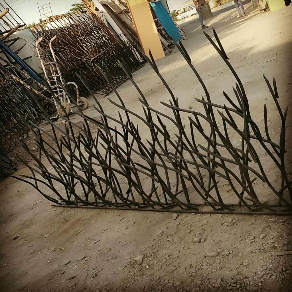 خرید حفاظ شاخ گوزنی دیوار ساختمان شاخه متراکم در کمال شهر