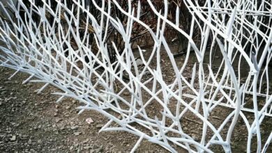fence-wall-protection-deer-antler-spear-sk