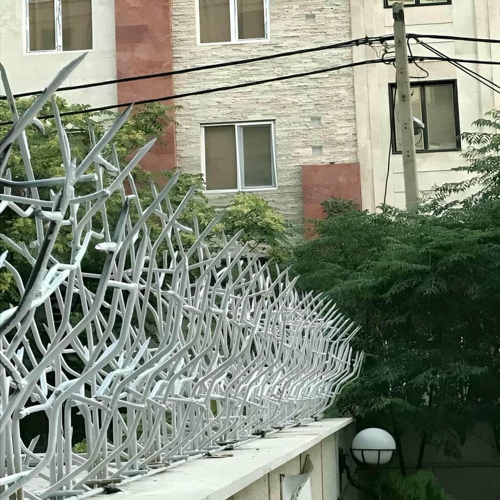 خرید حفاظ شاخ گوزنی دیوار ساختمان تراز مهندسی در کاشان