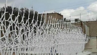 حفاظ شاخ گوزنی دیوار ساختمان در نظرآباد