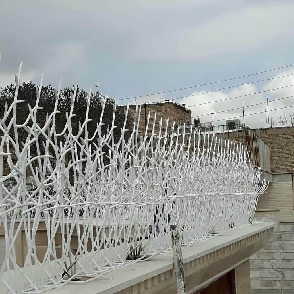 حفاظ شاخ گوزنی دیوار ساختمان در نظرآباد
