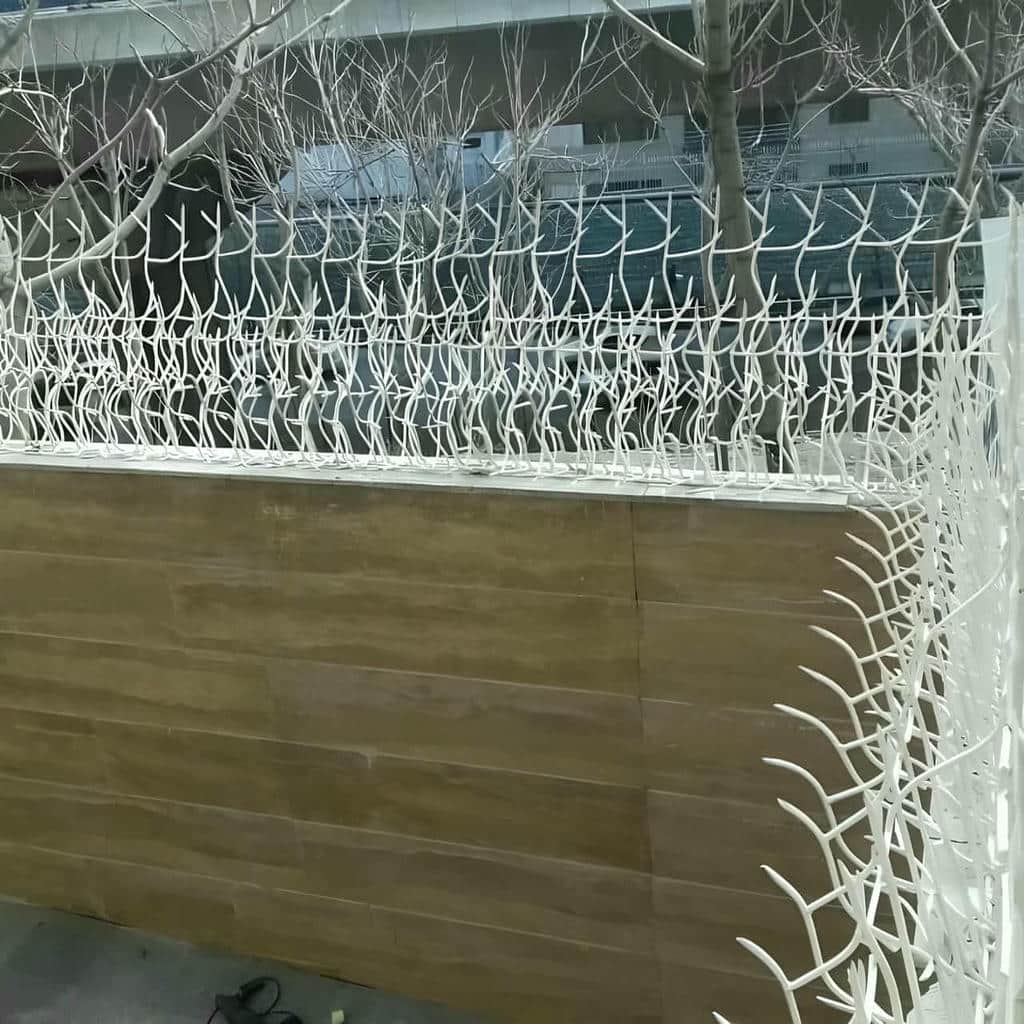 خرید حفاظ شاخ گوزنی دیوار ساختمان شاخه متراکم در طالقان