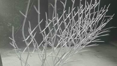 fence-wall-protection-deer-antler-spear-wz