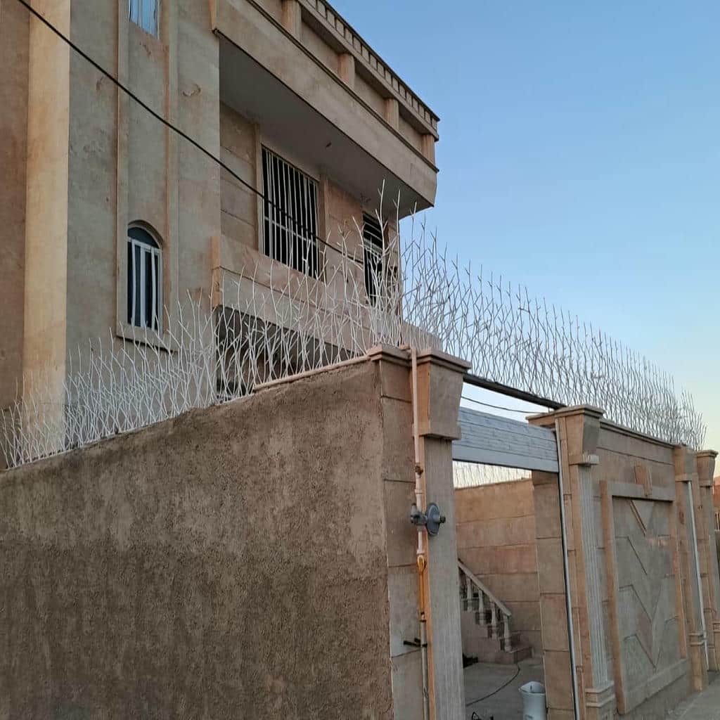 حفاظ شاخ گوزنی دیوار ساختمان در گنبدکاووس