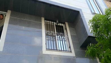 window-guard-iron-fence-wrought-iron-acs