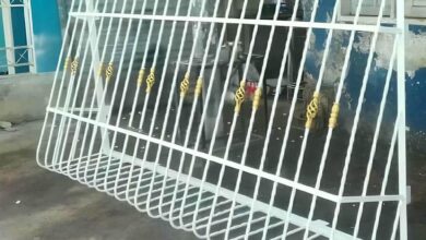 window-guard-iron-fence-wrought-iron-nc