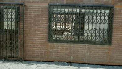 window-guard-iron-fence-wrought-iron-tj